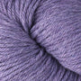 51172 Iris