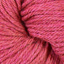 51194 Rhubarb