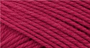 Red Raspberry N141