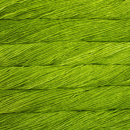 Malabrigo Caprino Sport Yarn color Lettuce 037