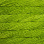 Lettuce 037