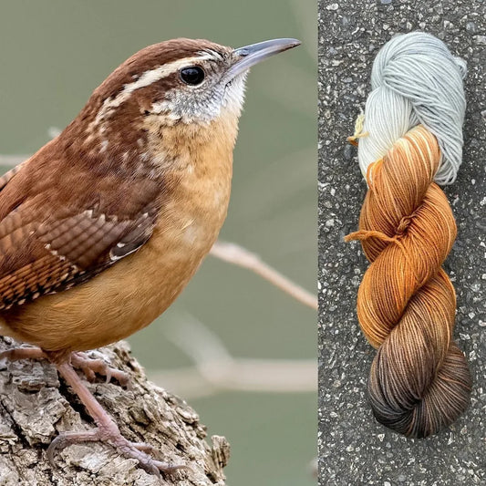 Carolina Wren - Superwash Merino Spruce Fingering Yarn