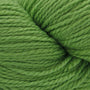14 Kiwi