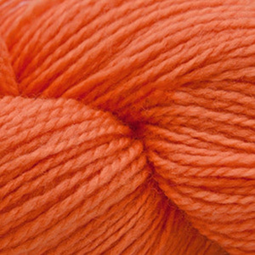 Cascade 220 Superwash Fingering - Paradise Fibers