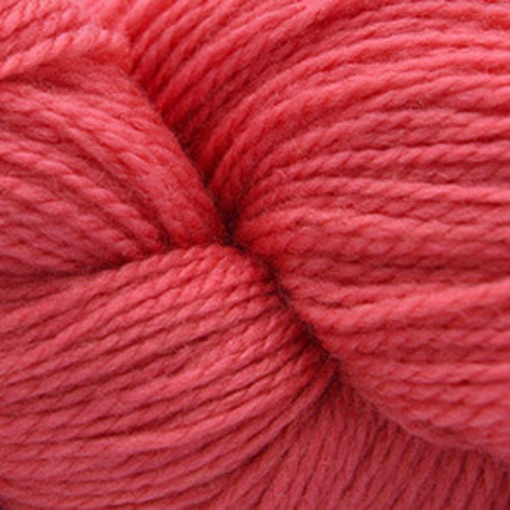 Cascade 220 Superwash Fingering - Paradise Fibers