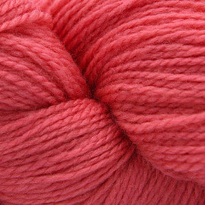 Cascade 220 Superwash Fingering - Paradise Fibers