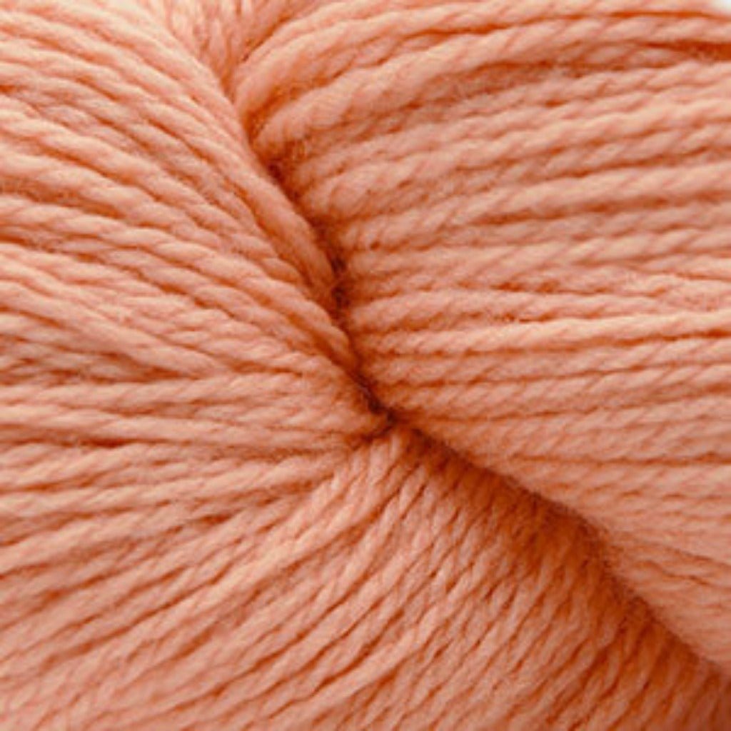 Cascade 220 Superwash Fingering - Paradise Fibers