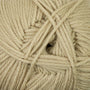 70 Silver Fern