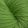 802 Green Apple