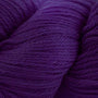 9570 Concord Grape
