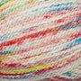 101 Primary - Splash