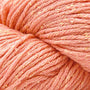 37 Salmon