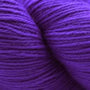 5625 Purple Hyacinth