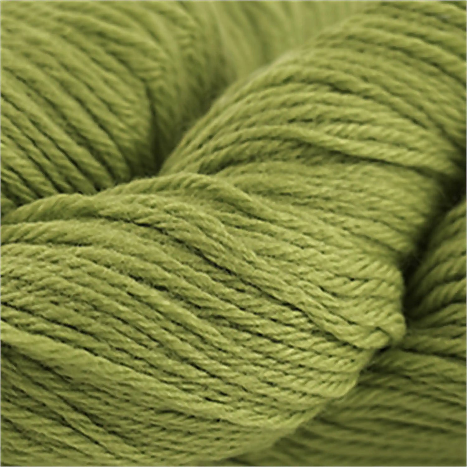Cascade 220 Worsted Wool Yarn color 1002 Leaf Green