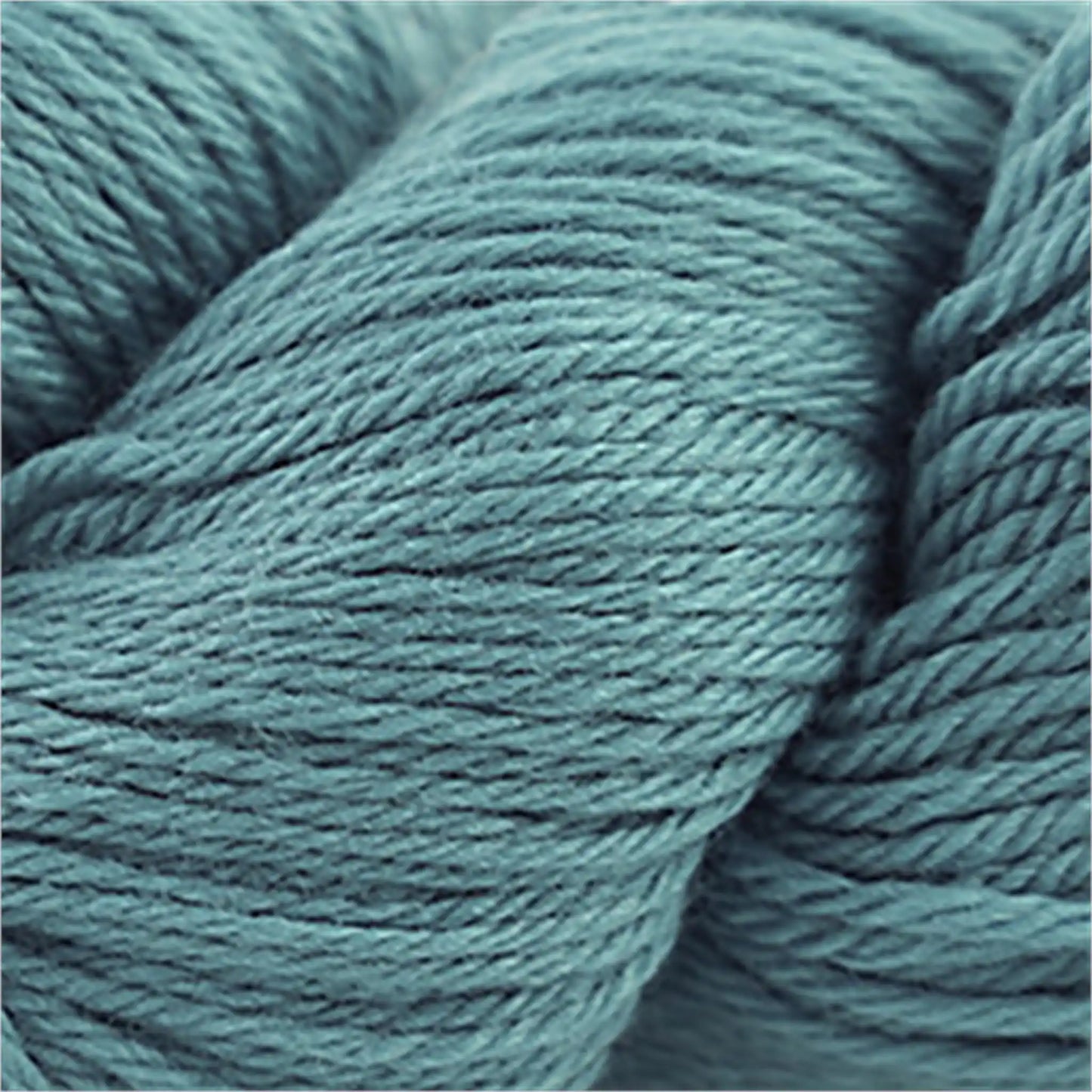 Cascade 220 Worsted Wool Yarn color 1004 Bristol Blue