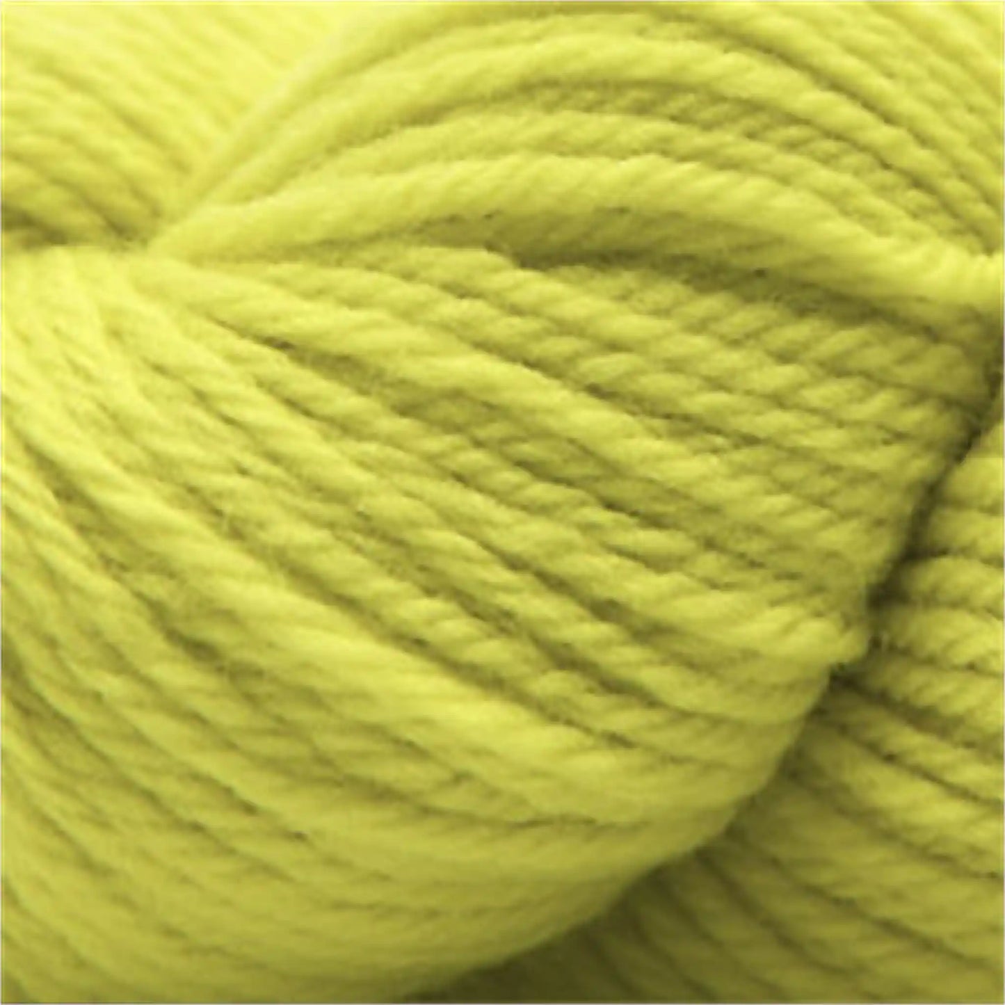 Cascade 220 Worsted Wool Yarn color 1070 Golden Kiwi