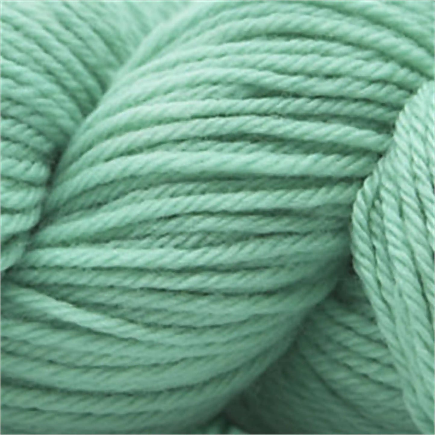 Cascade 220 Worsted Wool Yarn color 1072 Key West