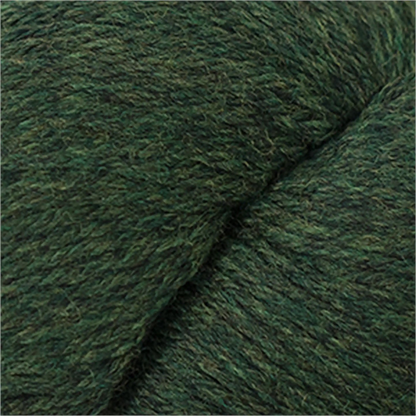 Cascade 220 Worsted Wool Yarn color 2445 Shire