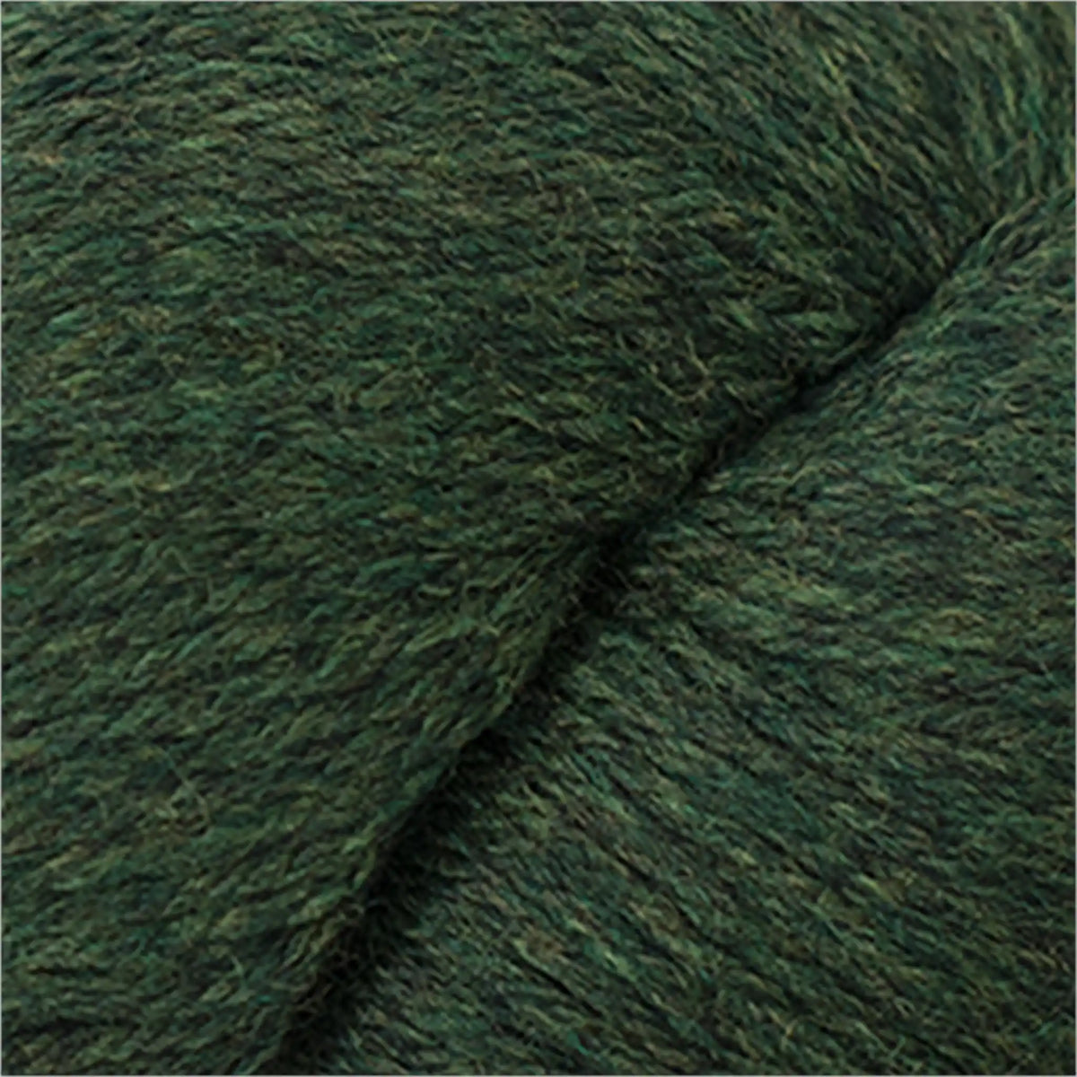 Cascade 220 Worsted Wool Yarn color 2445 Shire