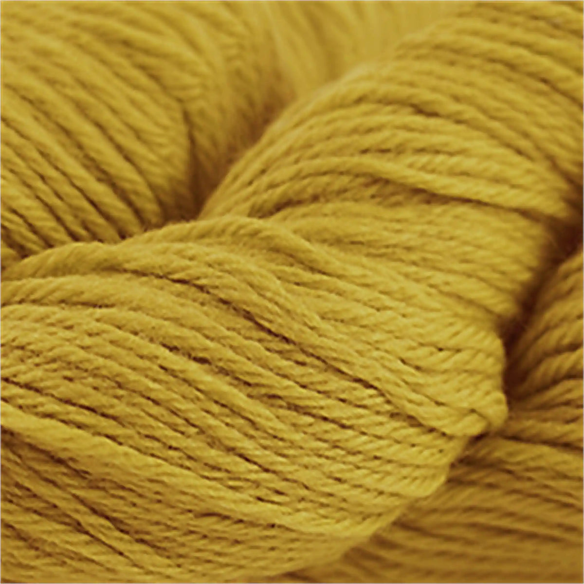 Cascade 220 Worsted Wool Yarn color 7827 Golden Rod