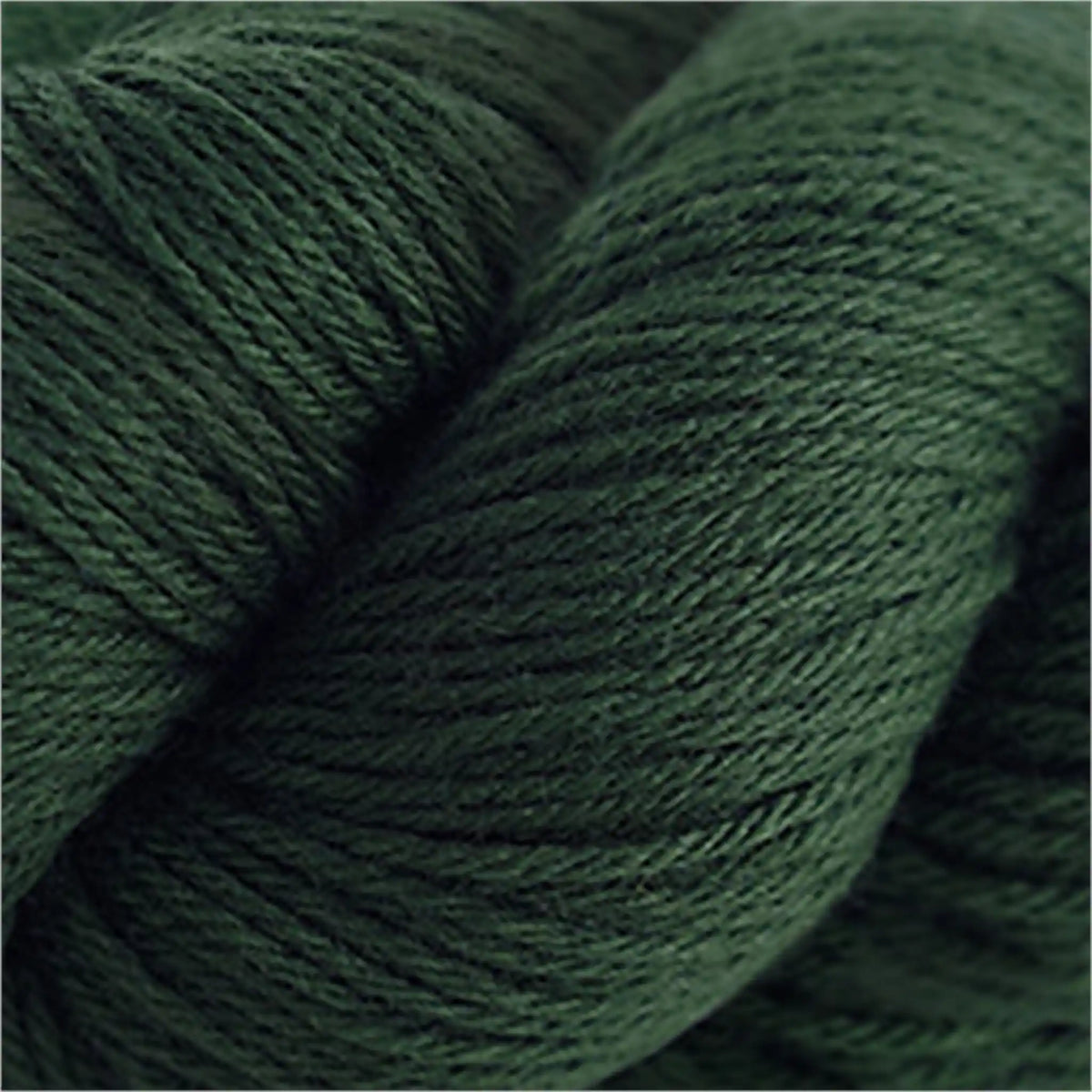 Cascade 220 Worsted Wool Yarn color 8267 Forest Green