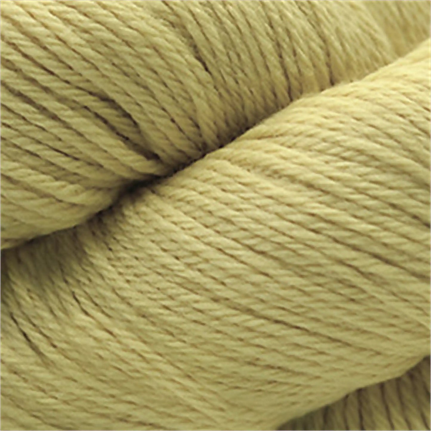 Cascade 220 Worsted Wool Yarn color 8412 Pear