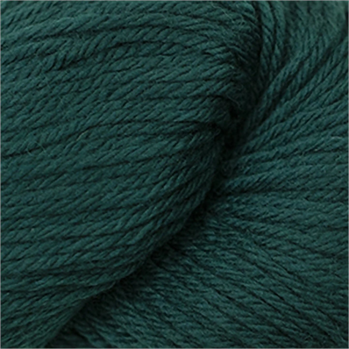 Cascade 220 Worsted Wool Yarn color 8893 Hunter Green