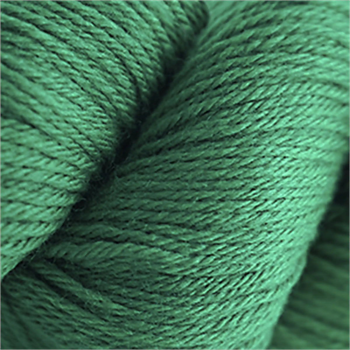 Cascade 220 Worsted Wool Yarn color 8894 Christmas Green