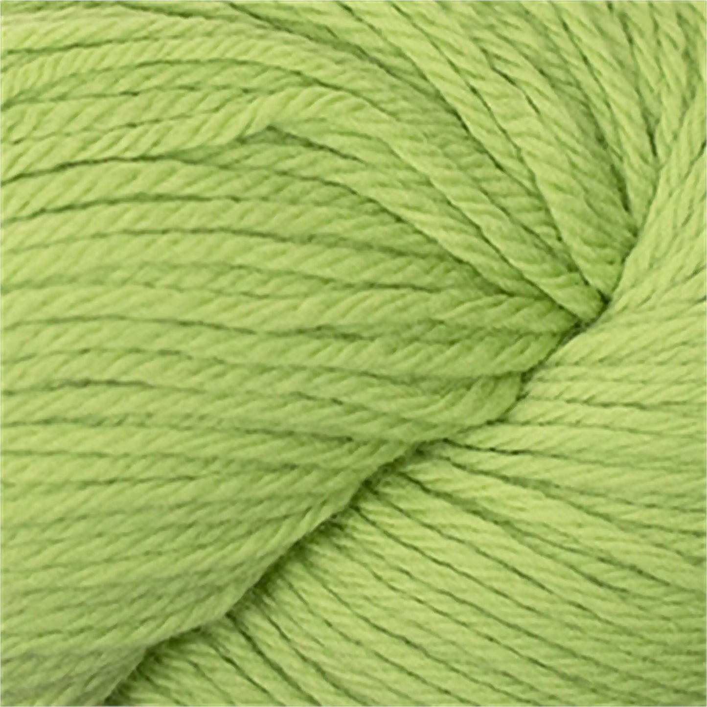 Cascade 220 Worsted Wool Yarn color 8910 Citron
