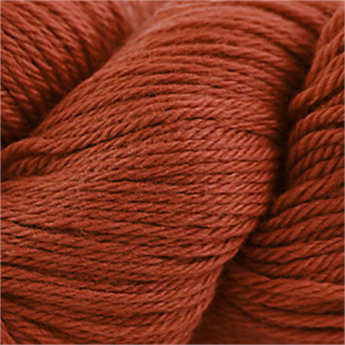 Cascade 220 Worsted Wool Yarn color 9465B Burnt Orange
