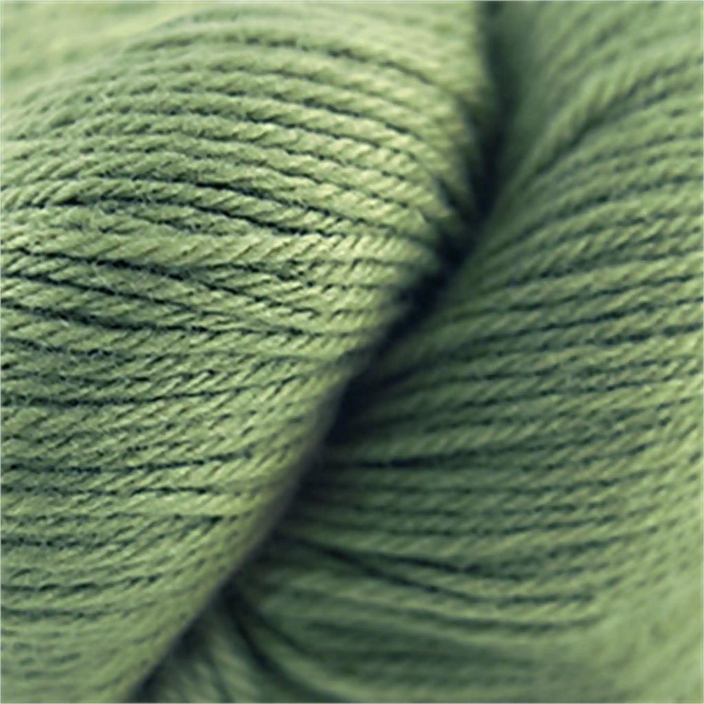 Cascade 220 Worsted Wool Yarn color 9684 Green Tea