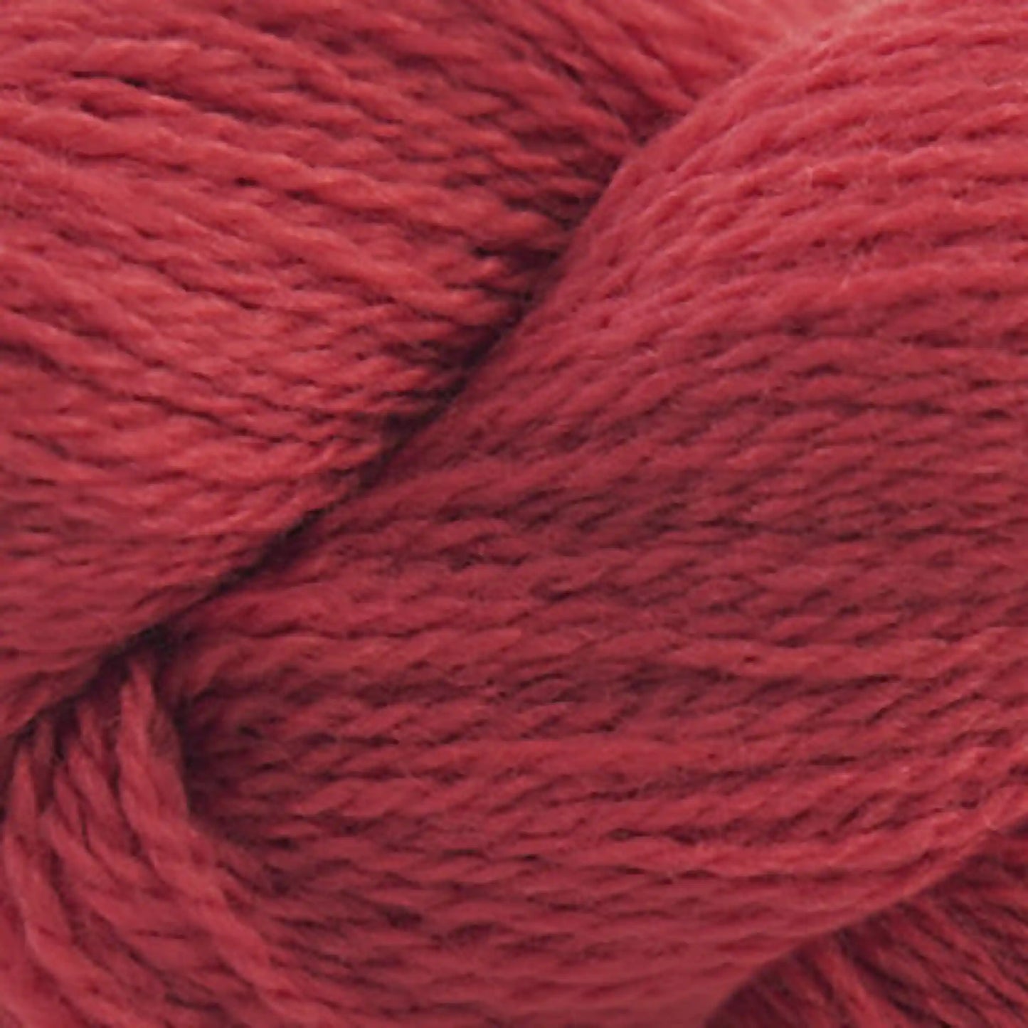 Cascade 220 Fingering Yarn color Poppy Red 1021