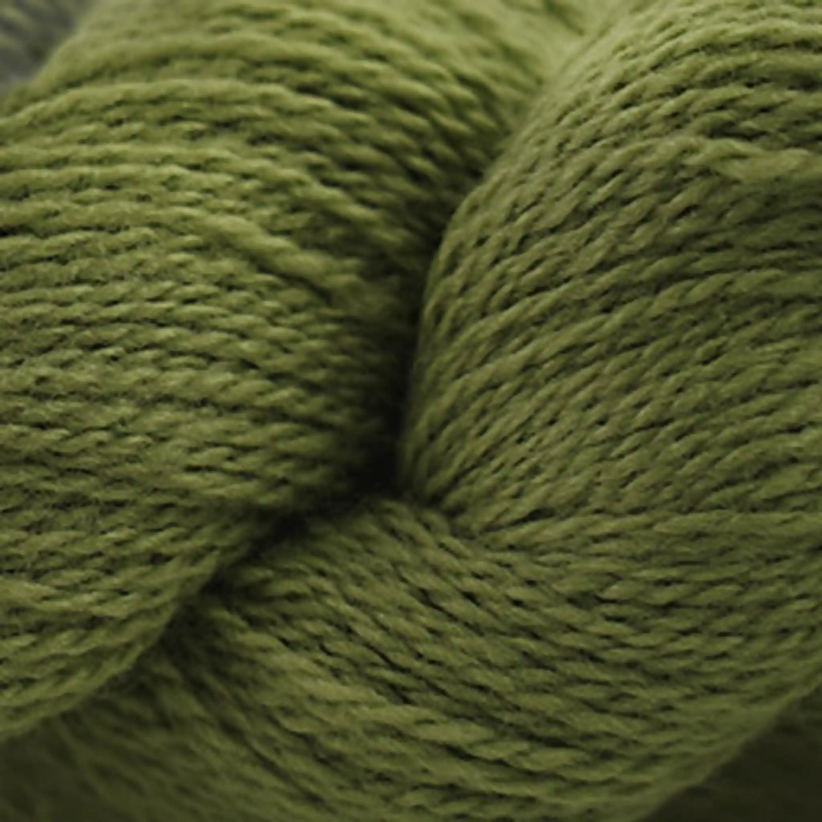 Cascade 220 Fingering Yarn color Turtle Green 1027