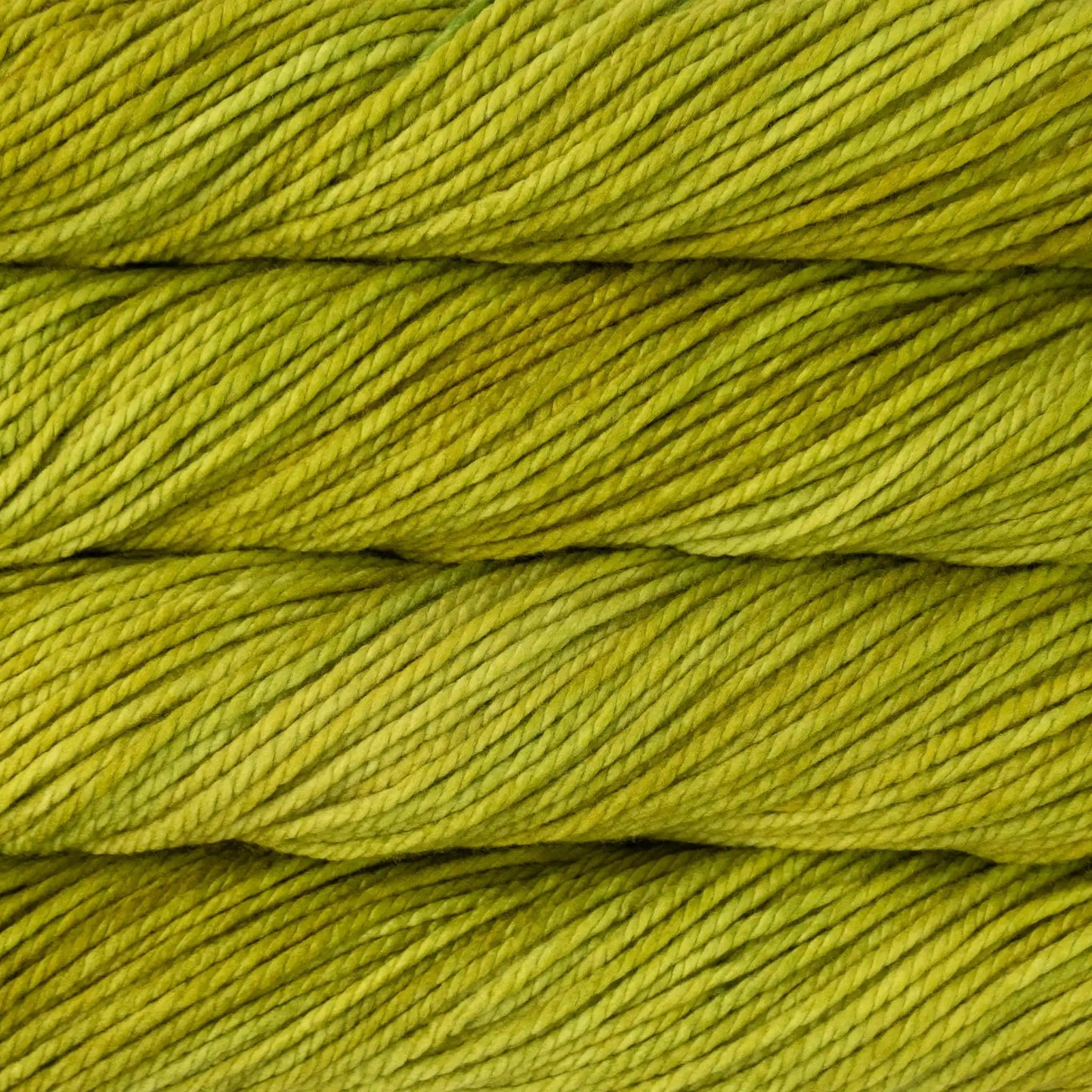 Malabrigo Chunky Bulky Yarn color 037 Lettuce