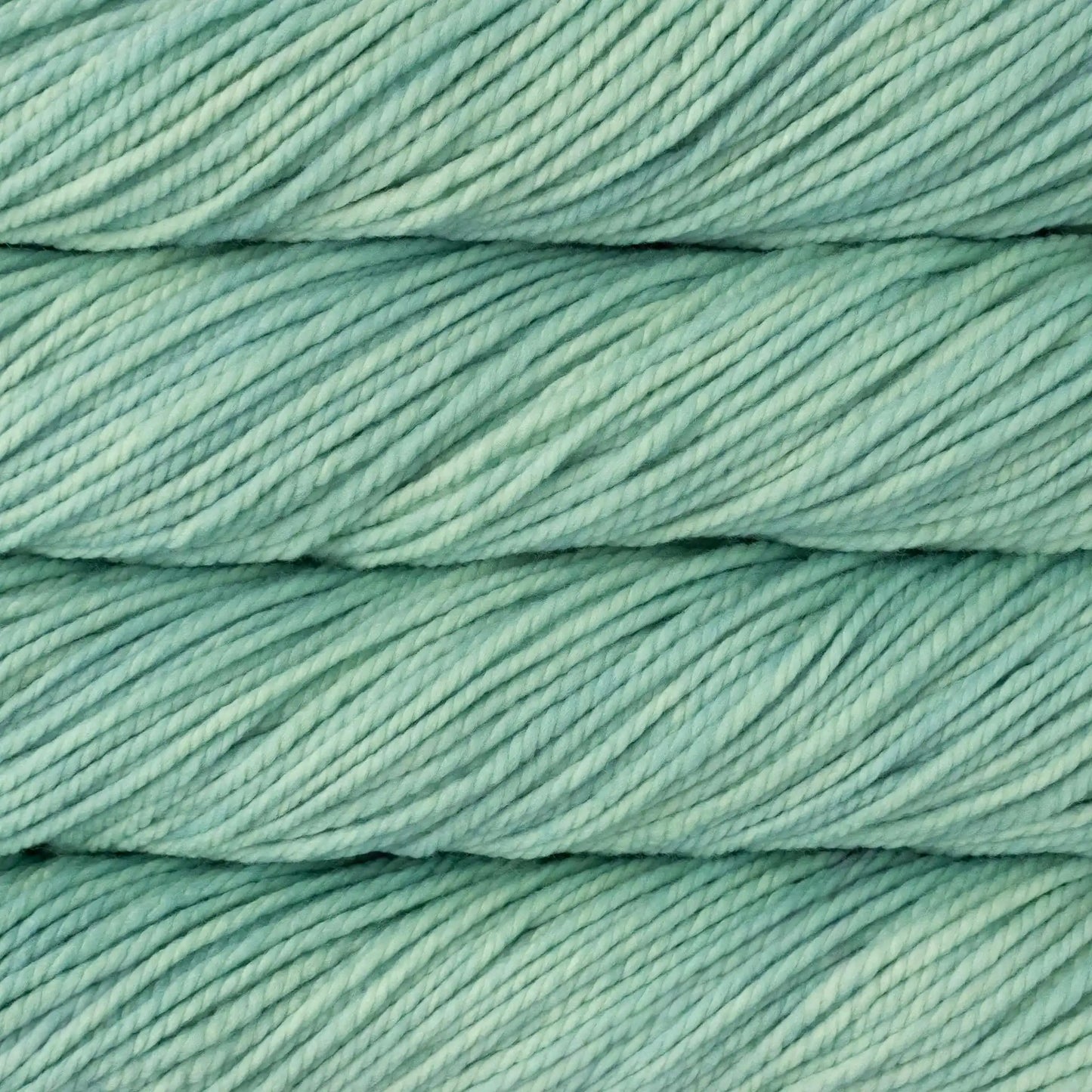 Malabrigo Chunky Bulky Yarn color 083 Water Green