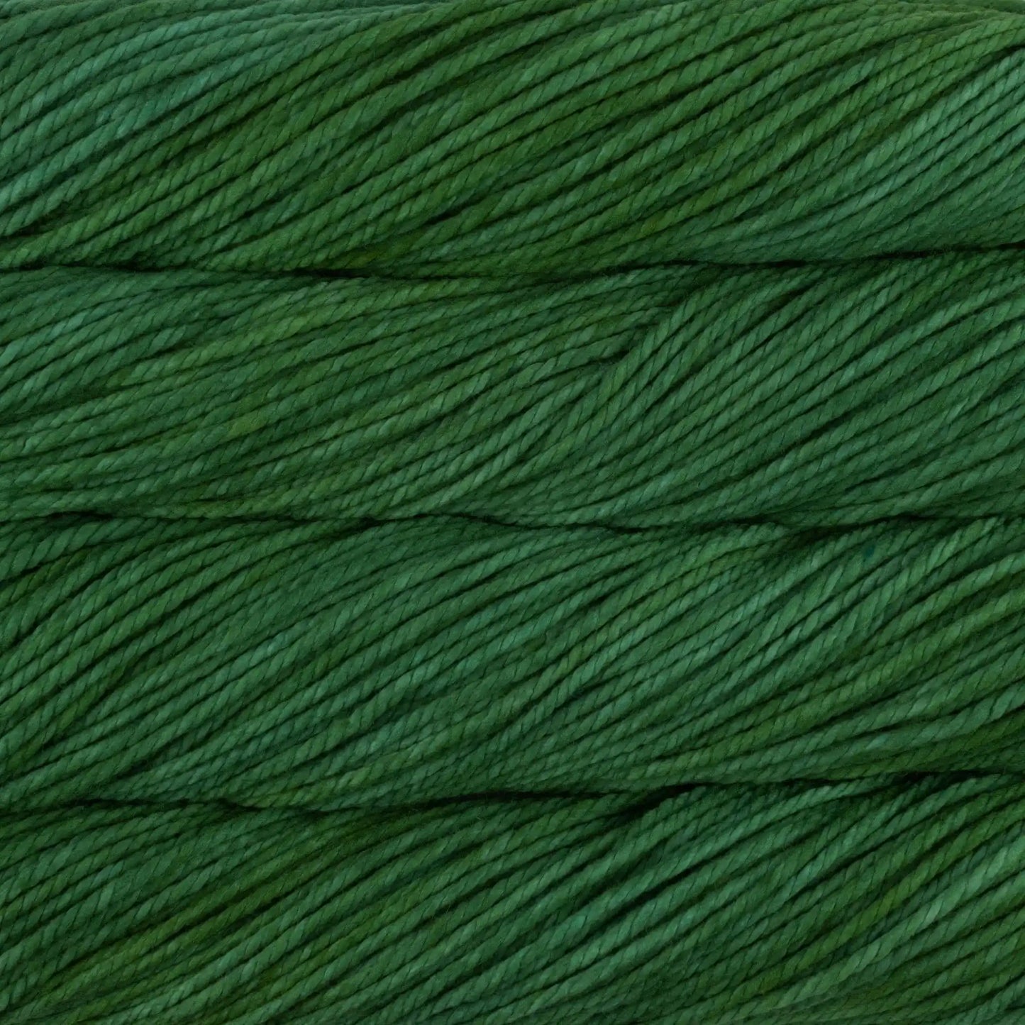 Malabrigo Chunky Bulky Yarn color 117 Verde Adriana