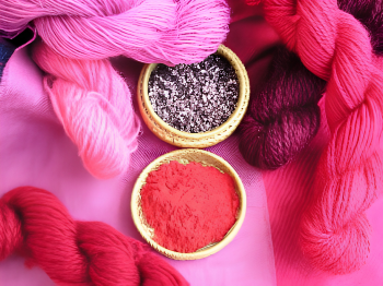 Natural Dyeing Class with Justin | Cochineal and Logwood Purple