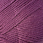 9717 Raspberry Coulis