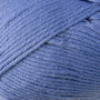 9726 Cornflower