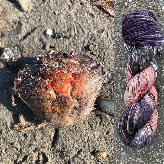 Crabshell On The Beach - Superwash Merino Spruce Fingering Yarn