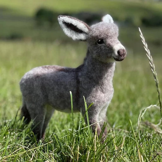 Diego the Donkey Needle Felting Kit - Paradise Fibers