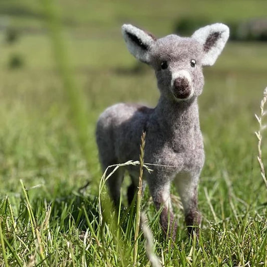 Diego the Donkey Needle Felting Kit - Paradise Fibers