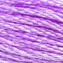 209 Lilac