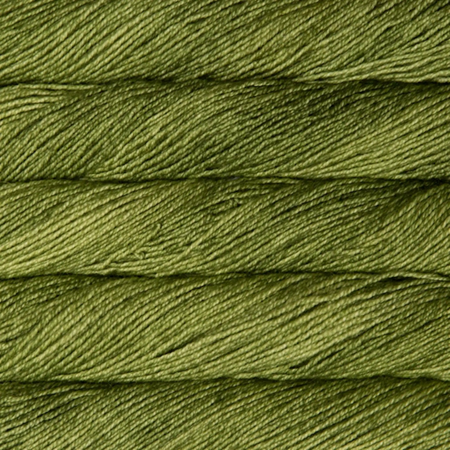 Malabrigo Dos Tierras DK Yarn color 037 Lettuce