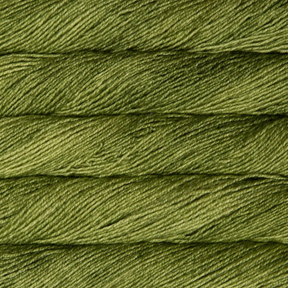 Malabrigo Dos Tierras DK Yarn color 037 Lettuce