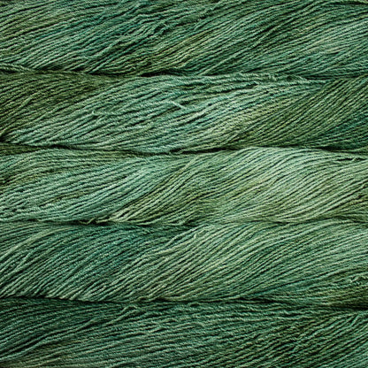Malabrigo Dos Tierras DK Yarn color 363 Pascal