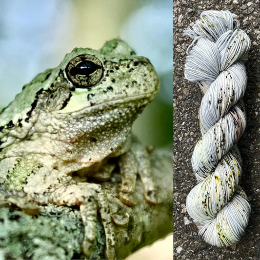 Eastern Gray Tree Frog - Superwash Merino Spruce Fingering Yarn