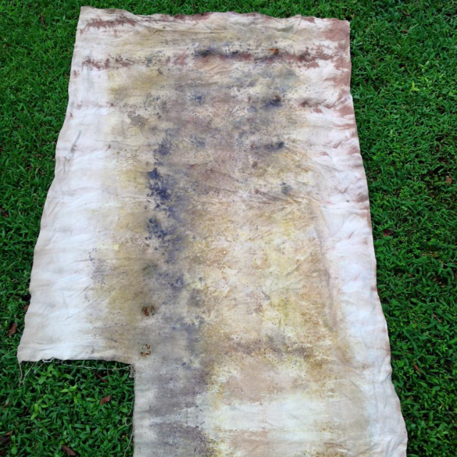 Eco Print Dye Class with Justin | Eco and Indigo