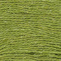 210 Cardamom