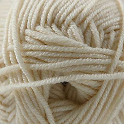 Cascade Elysian DK Yarn color 18 White Swan